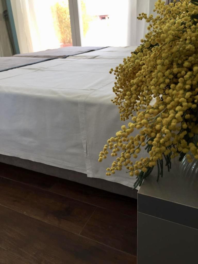 شكودر Amberyellowbnb المظهر الخارجي الصورة